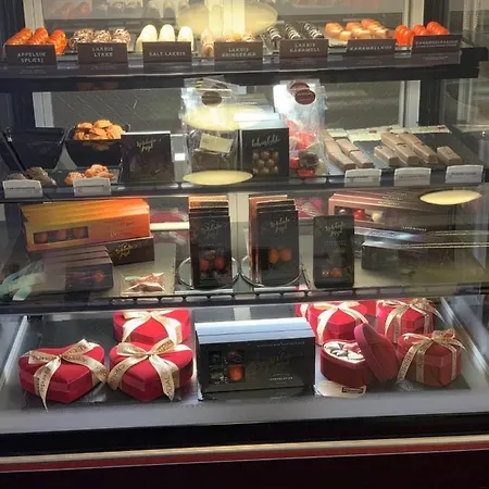 Somna & Gjestegard Motel Vik (Somna)