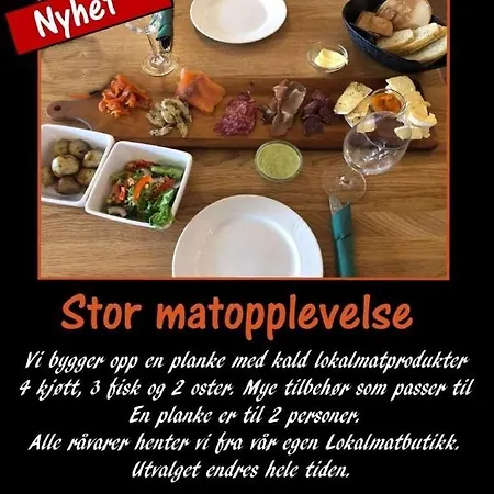 Somna & Gjestegard Motel Vik (Somna)